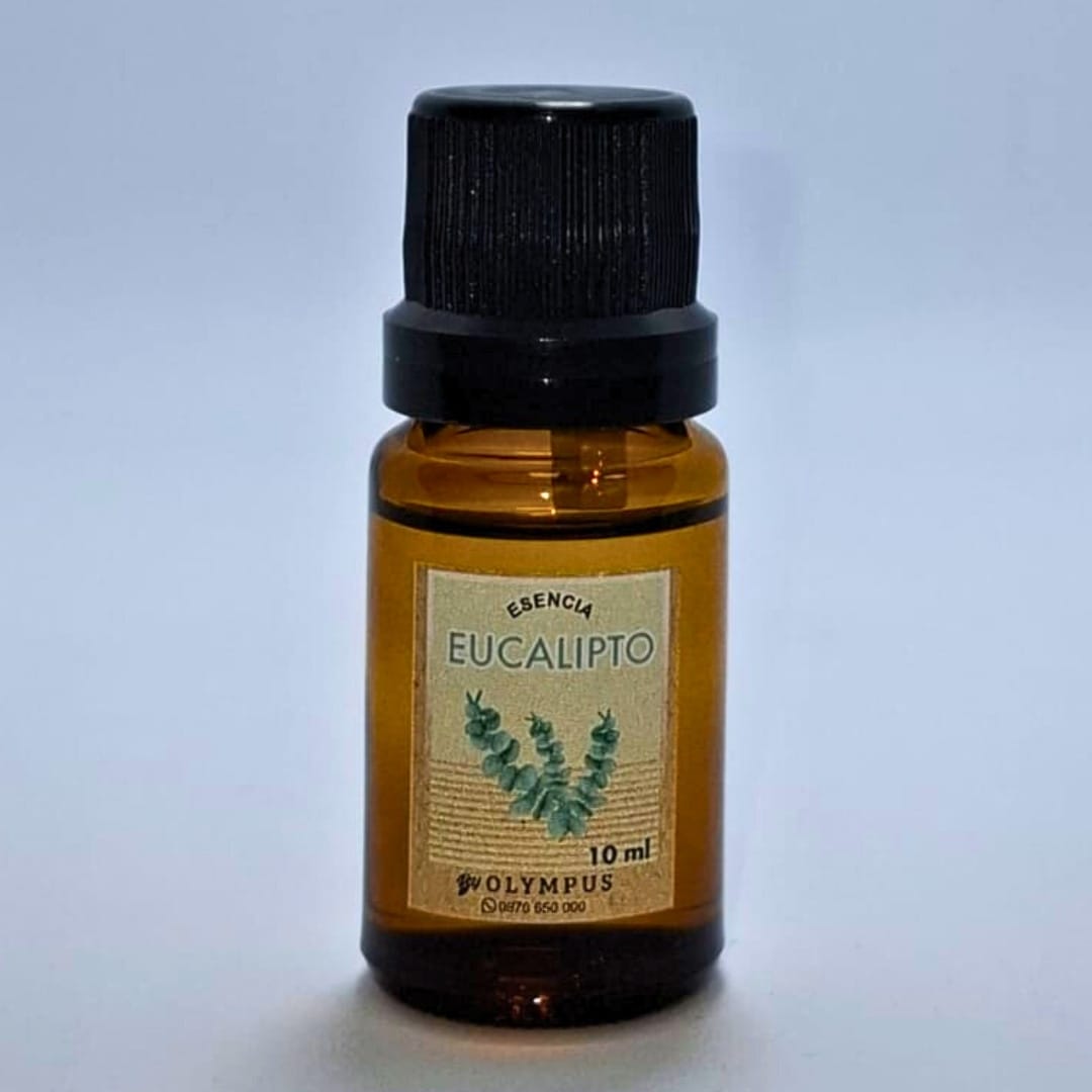 ESENCIA DE EUCALIPTO 10 ml
