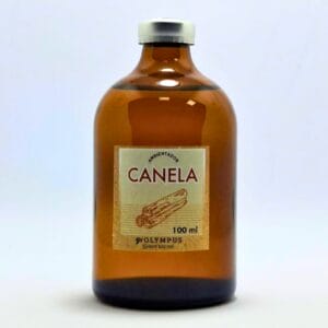 Ambientador Canela 100ml